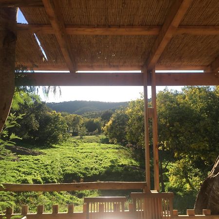 Au Paradis des Campeurs Les Issambres Extérieur photo